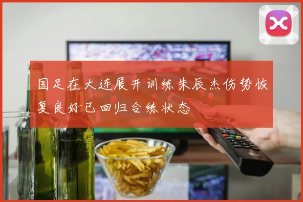 国足在大连展开训练朱辰杰伤势恢复良好已回归合练状态